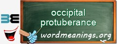 WordMeaning blackboard for occipital protuberance